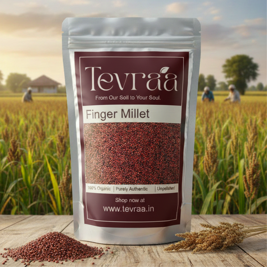Tevraa Finger Millet (Ragi) – Pure & Nutrient Dense